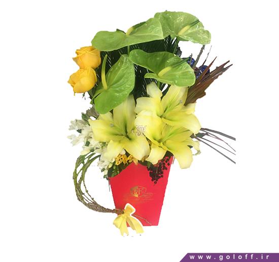 خرید گل - جعبه گل ونتو - Veneto | گل آف